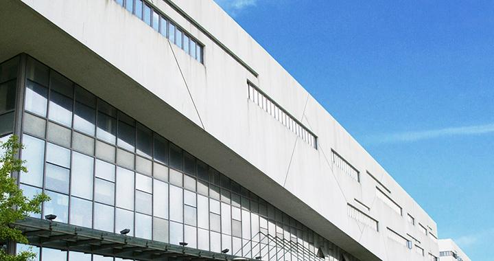 上海锋泾聚氨酯有限公司成立